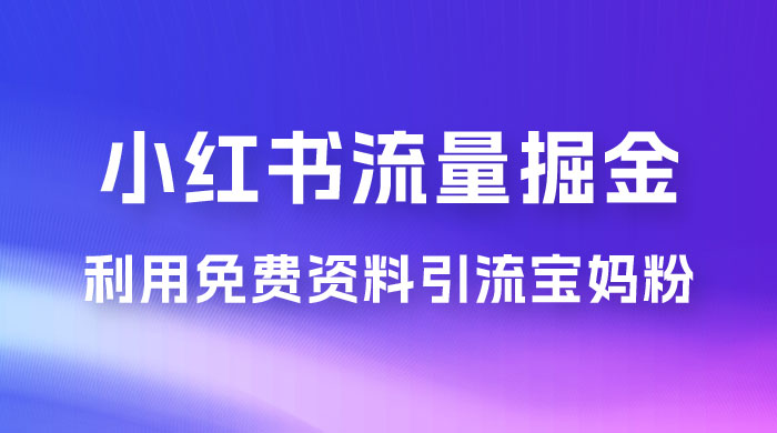 小红书流量掘金，利用免费资料暴力引流宝妈粉，私域高利润转化 - 选优云网创