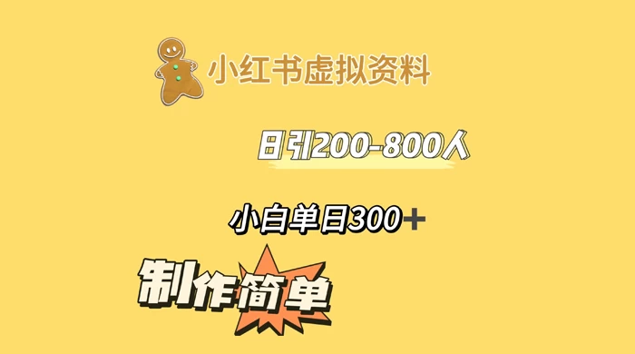 小红书虚拟资料日引 200-800 人，小白单日收益 300+ - 选优云网创
