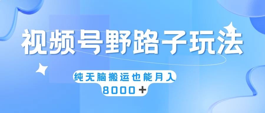 视频号野路子玩法，纯无脑搬运小白可做，月入8000+ - 选优云网创