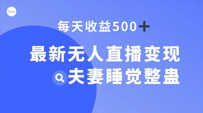 最新无人直播变现,夫妻睡觉整蛊,每天躺赚 500+ - 选优云网创