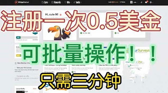 国外注册一次 0.5 美金项目：只需三分钟无脑操作、小白工作室福利 - 选优云网创