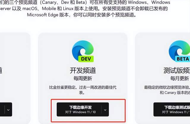 GPT4 的免费平替！国内使用 New Bing 的教程 - 选优云网创