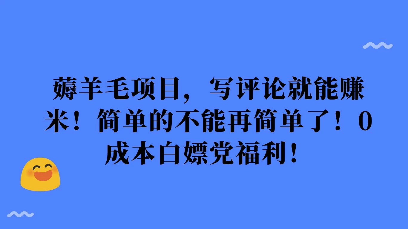 薅羊毛项目，写评论就能赚米！简单的不能再简单了！0成本白嫖党福利！ - 选优云网创