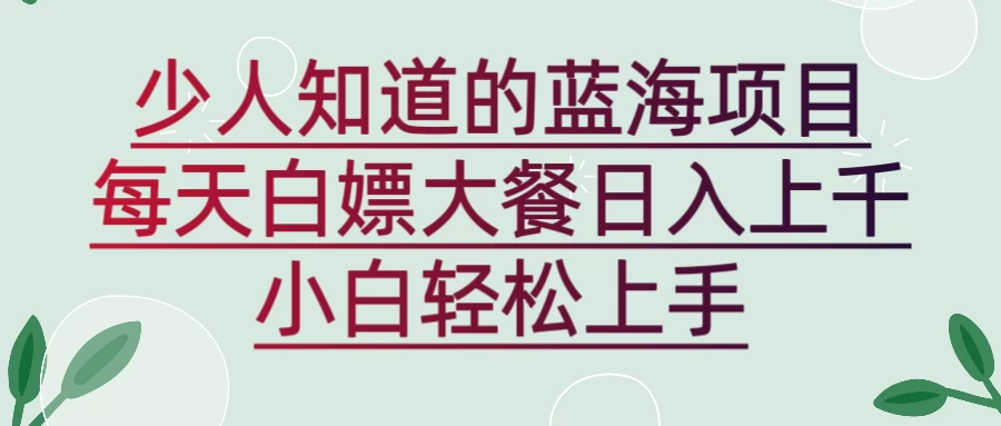 新蓝海长期项目，白嫖大餐日入上千，小白轻松上手 - 选优云网创