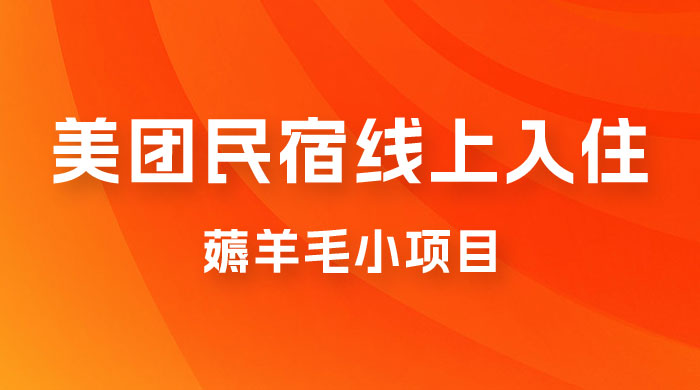 美团民宿线上入住，最新薅羊毛小项目，可以单号日入 50+ - 选优云网创
