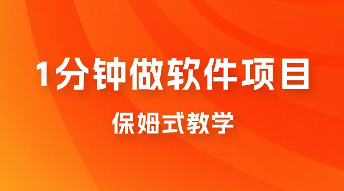1 分钟做软件项目。有人靠这个已经赚 10W。保姆式教学，外面收费 3980 - 选优云网创