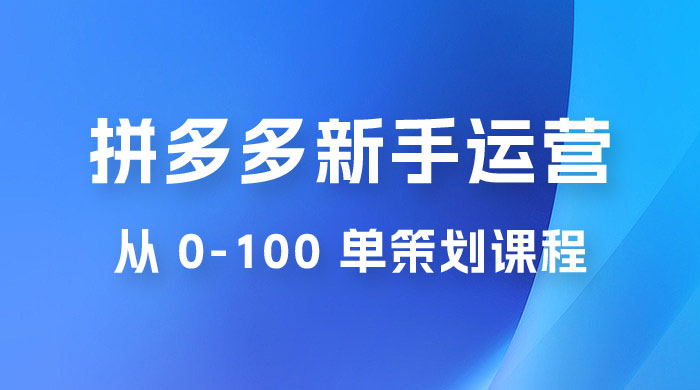 拼多多新手运营从 0-100 单策划课程，从零起步到爆单详细教程 - 选优云网创