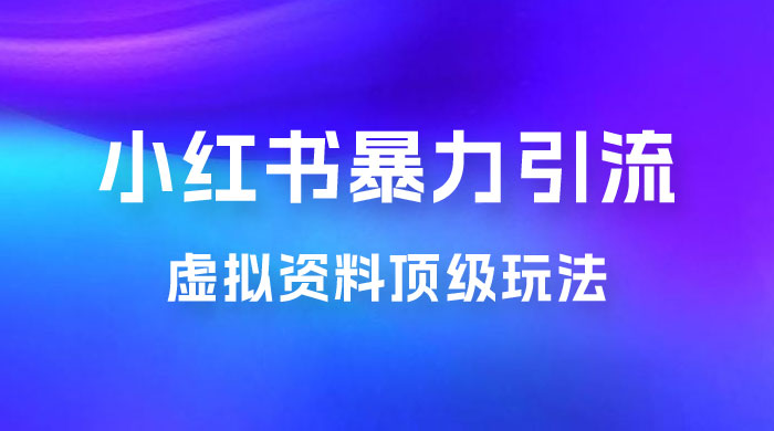 虚拟资料顶级玩法，小红书暴力引流，喂饭级教程零成本，利润任你定 - 选优云网创