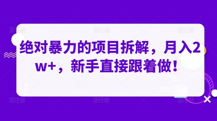 绝对暴力的项目拆解，月入 2w+，新手直接跟着做【揭秘】 - 选优云网创