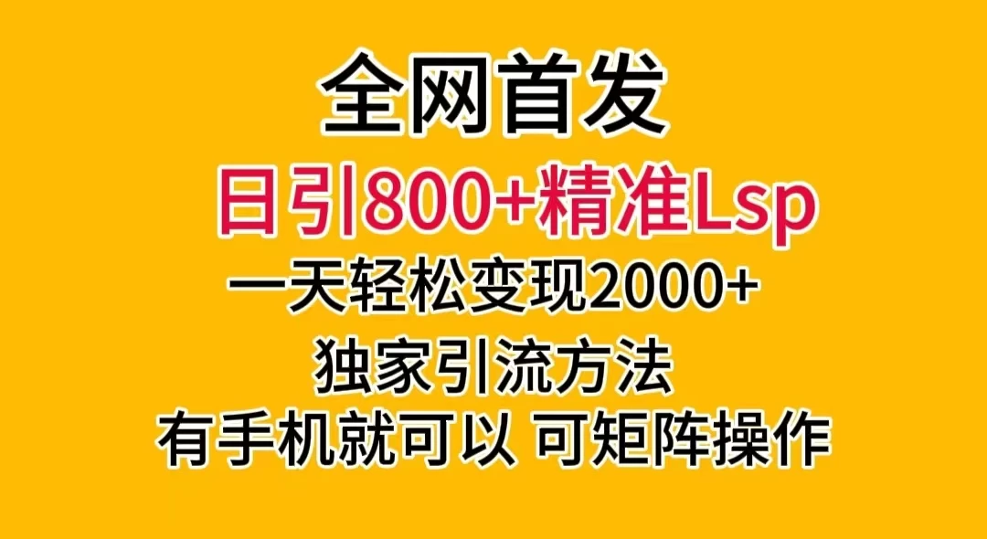 日引 800+ 精准老色批，一天变现 2000+，独家引流方法，可矩阵操作，月入 5W+ - 选优云网创