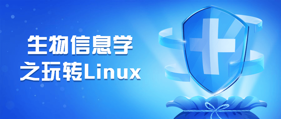 生物信息学之玩转Linux - 选优云网创