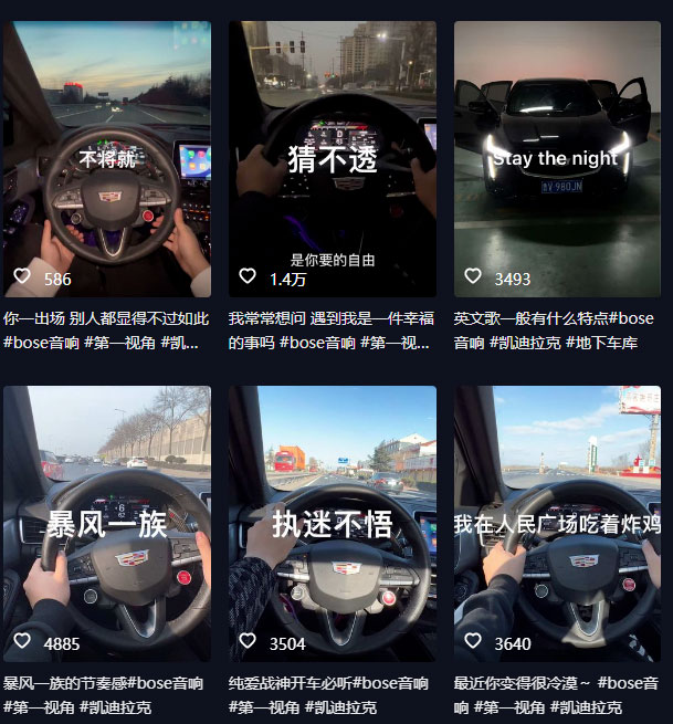 图片[2] - 抖音开车视频项目：0基础操作，每天五分钟，月入过万 - 选优云网创