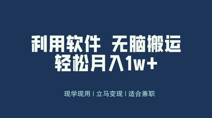 最新蓝海独家玩法，利用软件无脑搬运，小白轻松日入1000＋ - 选优云网创