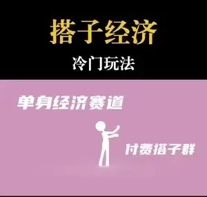 靠搭子经济月入5万每天两小时简单无脑好上手 - 选优云网创