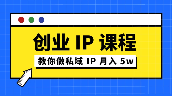 价值 2980 创业 IP 课程,教你做私域 IP 月入 5w - 选优云网创