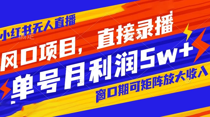 风口项目，小红书无人直播带货，直接录播，可矩阵，月入 5w+ - 选优云网创