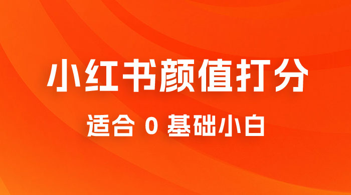 小红书颜值打分项目：一条作品最高收入 1000+ - 选优云网创