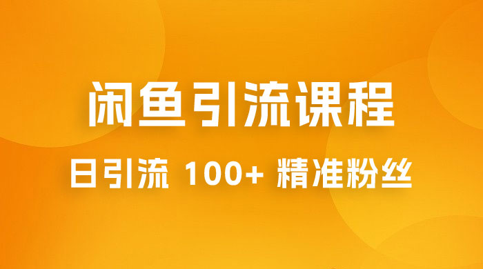 闲鱼引流课程：三个账号操作 20 分钟，日引流 100+ 精准粉丝 - 选优云网创