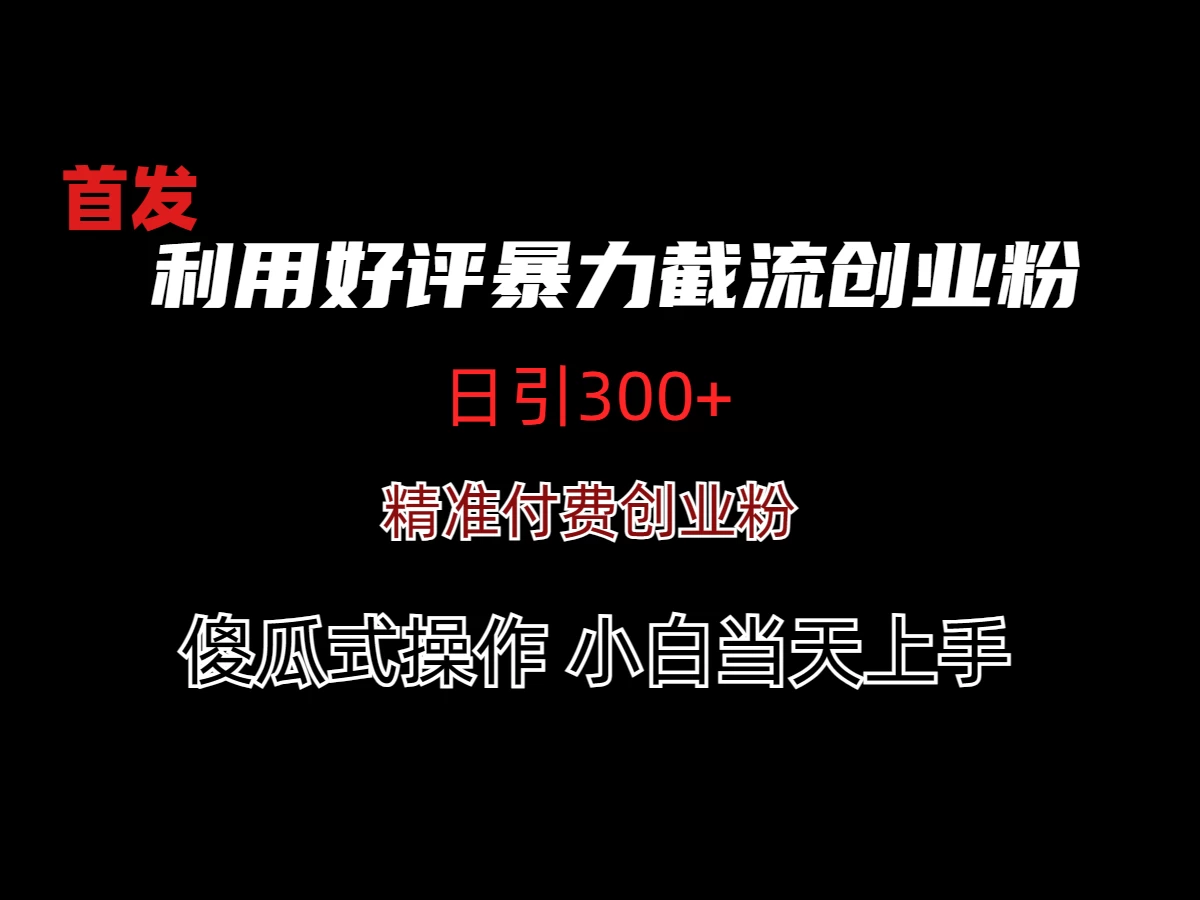 利用好评暴力截流付费创业粉，无需工具，简单且暴力的一个玩法 - 选优云网创