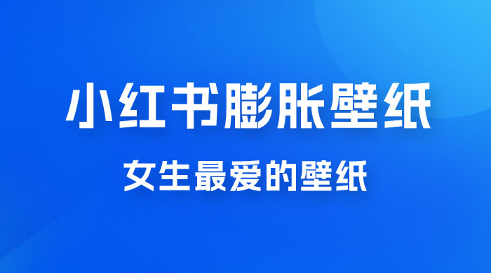 小红书膨胀壁纸项目玩法，女生最爱的壁纸，0 门槛新手也可操作日入 300+ - 选优云网创