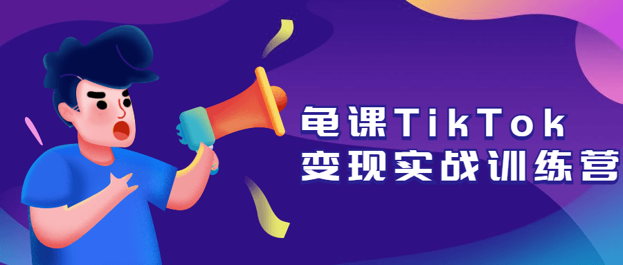 龟课TikTok变现实战训练营 - 选优云网创