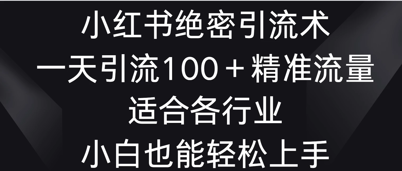 小红书绝密引流术，一天引流100＋精准流量，适合各个行业，小白也能轻松上手 - 选优云网创