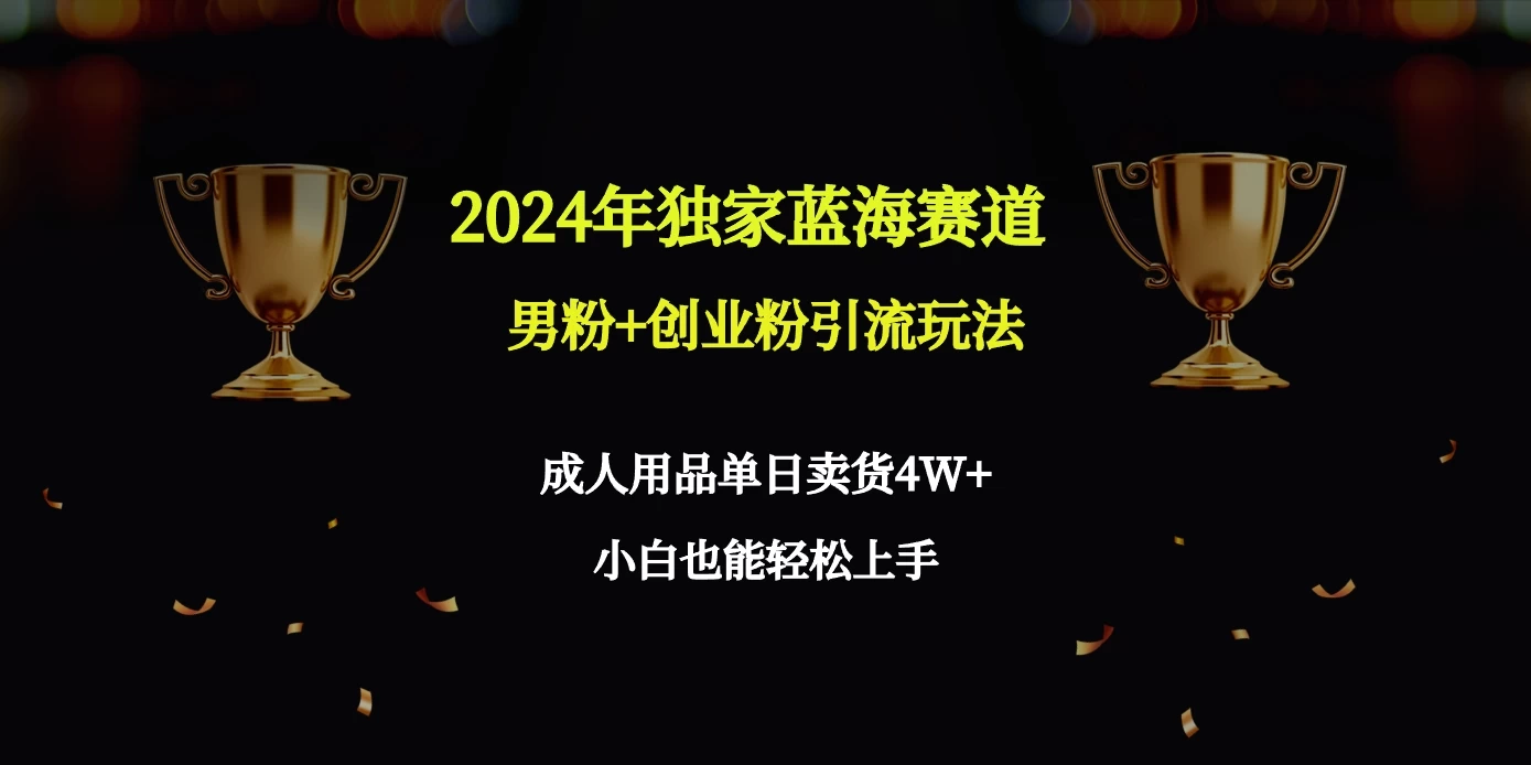 2024独家蓝海赛道，男粉＋创业粉引流玩法。 - 选优云网创