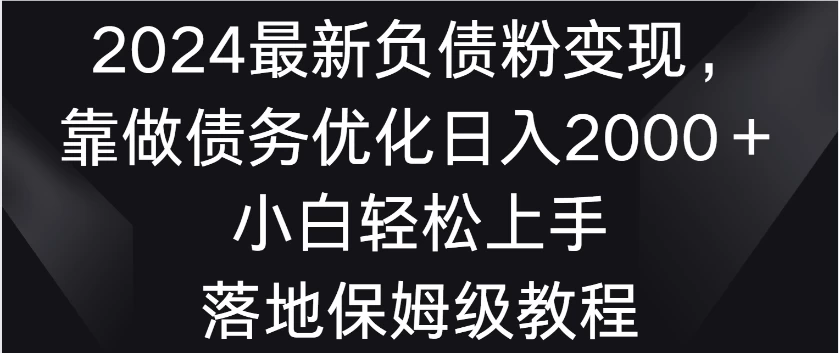 2024最新负债粉变现，靠做债务优化日入2000＋小白轻松上手 落地保姆级教程 - 选优云网创