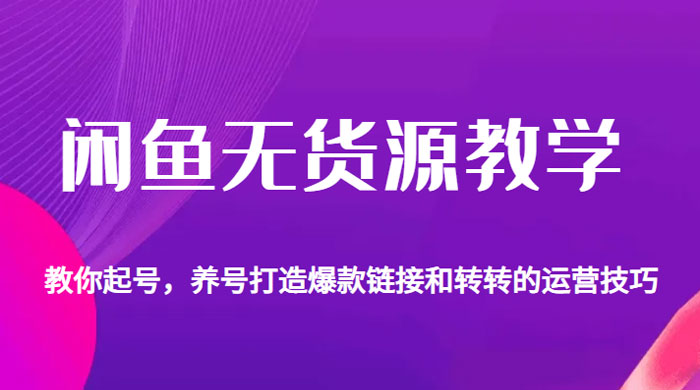 闲鱼无货源电商教学：教你起号，养号打造爆款链接以及转转的运营技巧 - 选优云网创