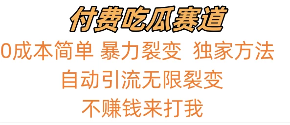 0成本简单暴力裂变，吃瓜付费赛道，不赚钱你来打我 - 选优云网创