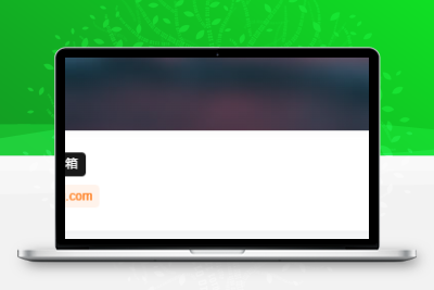 子比主题美化 – 用户中心添加UID/用户名/邮箱按钮 - 选优云网创