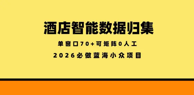 酒店智能数据归集，小众蓝海已经稳定半年之久，单窗口70+零成本矩阵开干【揭秘】 - 选优云网创