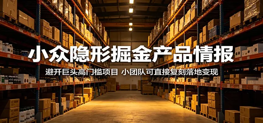 小众隐形掘金产品情报：避开巨头高门槛项目，小团队可直接复刻落地变现 - 选优云网创