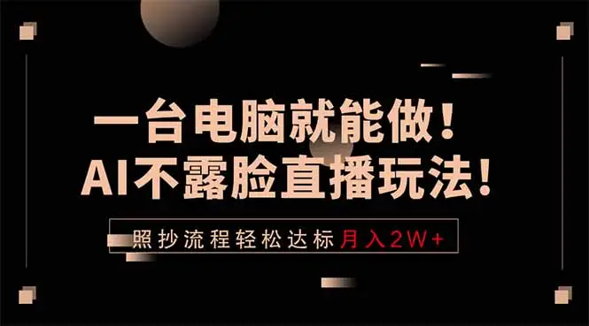 一台电脑就能做！AI不露脸直播玩法，照抄流程轻松达标月入2W+ - 选优云网创
