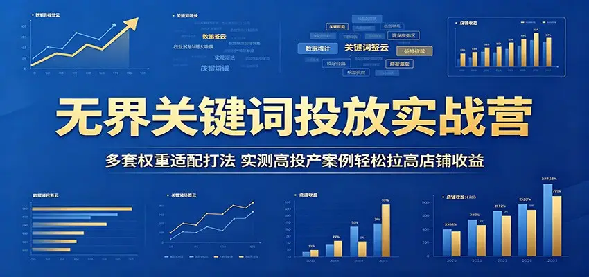 无界关键词投放实战营：多套权重适配打法，实测高投产案例轻松拉高店铺收益 - 选优云网创